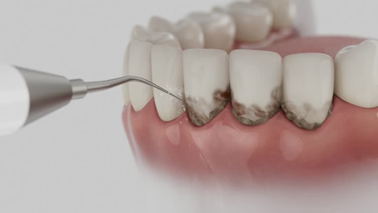Reliable Dental contractor in Woodlawn, MD by Dentist Open Now